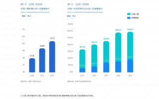 短视频制作人才培养方案 短视频行业人才需求旺盛，积云教育助力职业新发展