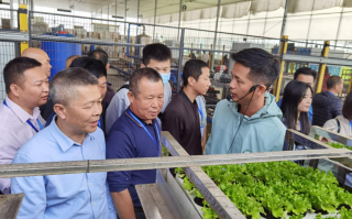 巴南短视频ai剪辑 巴南区2024年高素质农民培育农产品短视频直播培训圆满结束